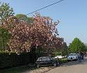 IMG_1824