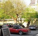 IMG_1810