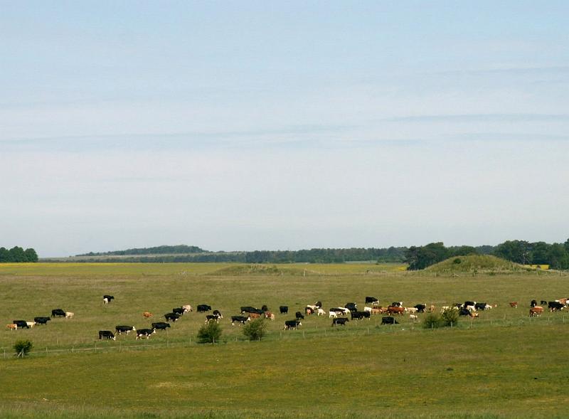 PICT0256.JPG