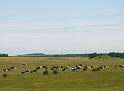 PICT0256