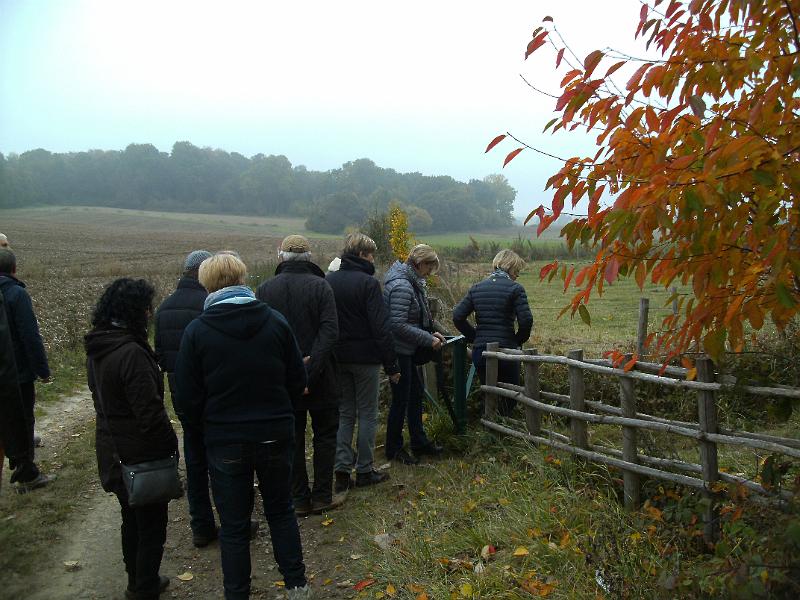 Herfstwandeling_(109).JPG