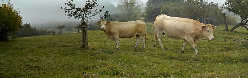 Herfstwandeling_(112).jpg