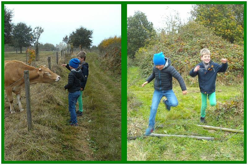 Herfstwandeling_(113).jpg