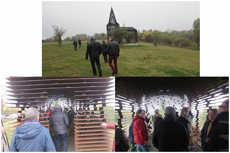 Herfstwandeling_(114).jpg