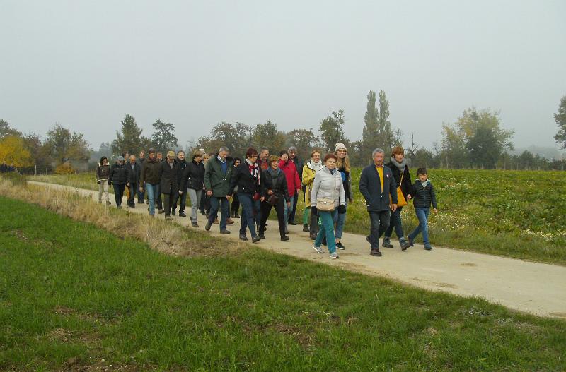Herfstwandeling_(139).JPG