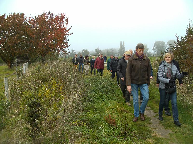 Herfstwandeling_(143).JPG
