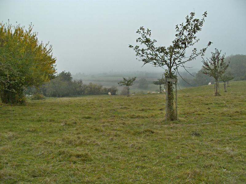 Herfstwandeling_(145).JPG