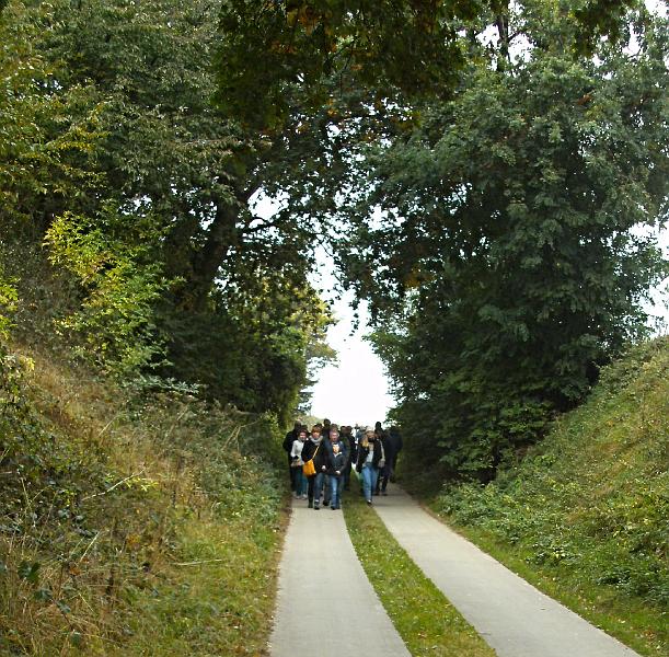 Herfstwandeling_(150).JPG