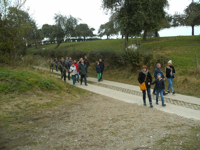 Herfstwandeling_(151).JPG
