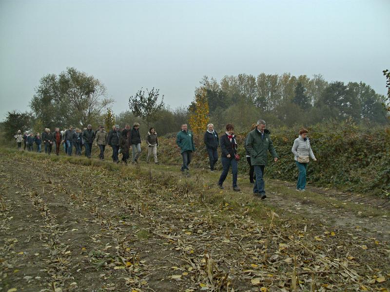 Herfstwandeling_(158).JPG