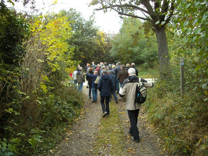 Herfstwandeling_(159).JPG
