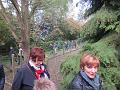 Herfstwandeling_(107)