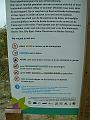 Herfstwandeling_(118)