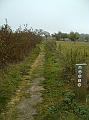 Herfstwandeling_(140)