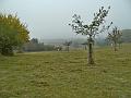 Herfstwandeling_(145)