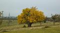 Herfstwandeling_(147)