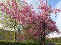 IMG_0020