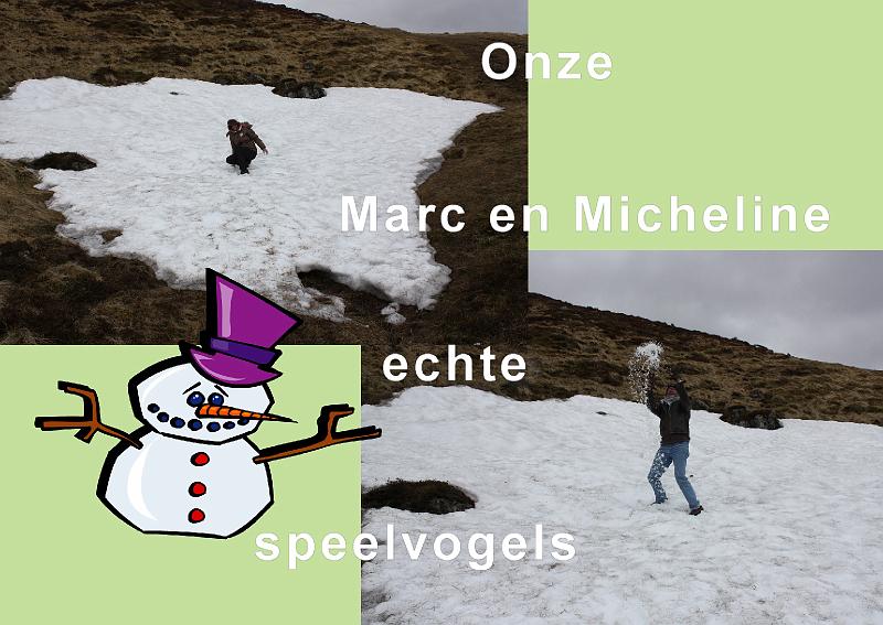 Speelvogels,150a.JPG