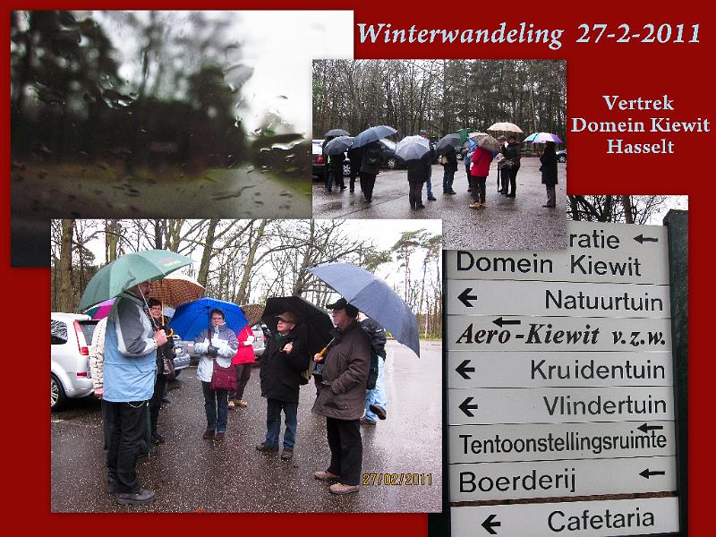 Winterwandeling-Kiewit.jpg